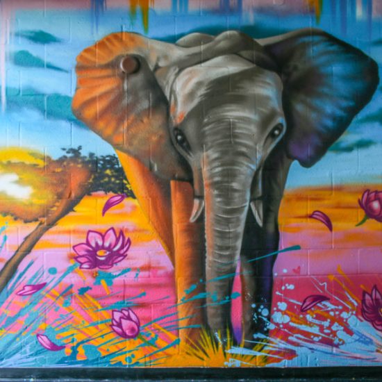 Elephant Graffiti Mural Wynwood