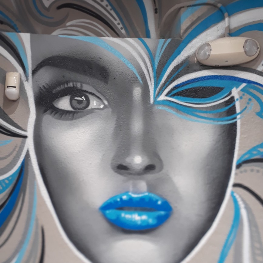 Mural in Miami, Wynwood Salon painted by Miami Mural Artist Aladdin